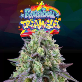 Rainbow Triangle de Perfect Tree