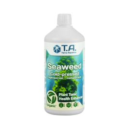 Seaweed
