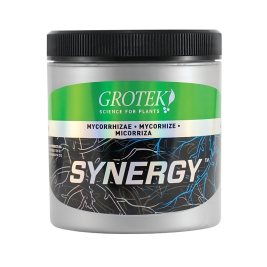 Synergy Grotek