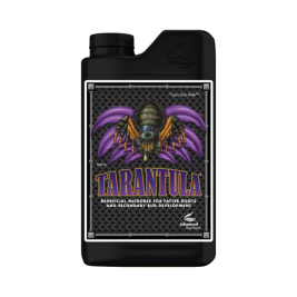 Tarantula