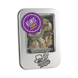 Trufas Atlantis