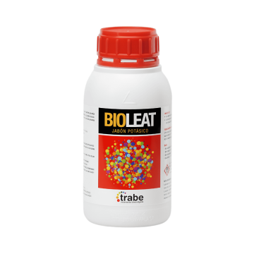 bioleat-trabe