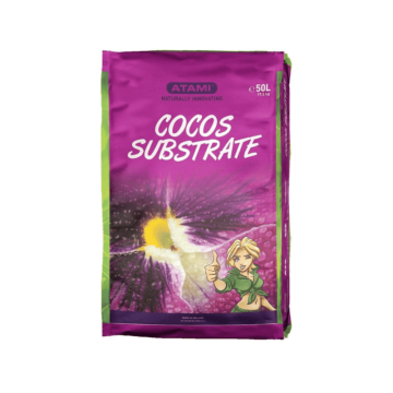 coco-substrate-b-cuzz-atami1.png