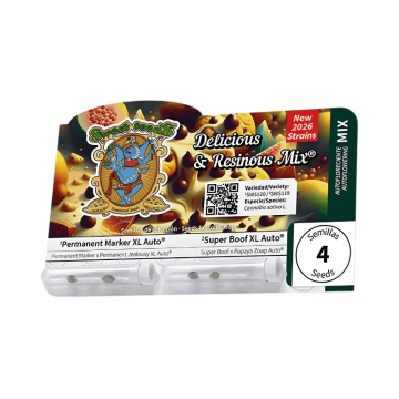 delicious-&-resinous-mix-de-sweet-seeds