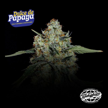 dulce-de-papaya-de-nine-weeks-harvest