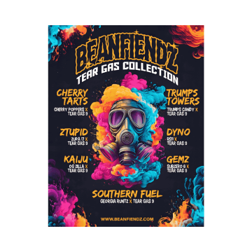 Semillas Feminizadas Dyno de Bean Fiendz