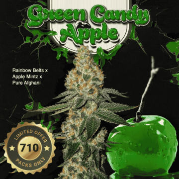 Green Candy Apple