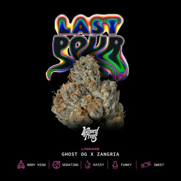 last-pour-de-wizard-trees