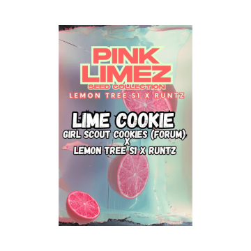 lime-cookie