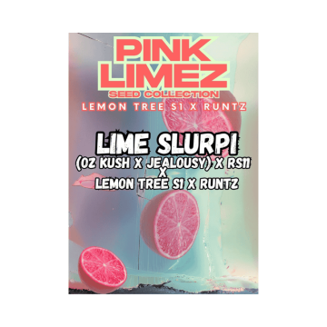 lime-slurpi