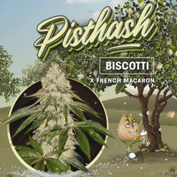 pisthash-de-th-seeds