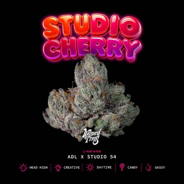 studio-cherry-de-wizard-trees