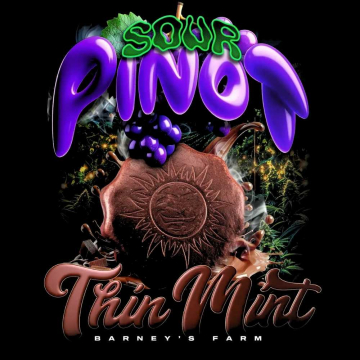 thin-mint-x-sour-pinot-auto-de-barney´s-farm