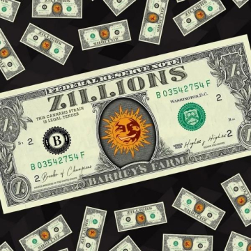 semillas-zillions-feminizadas-de-barney´s-farm