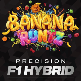 Banana Runtz F1