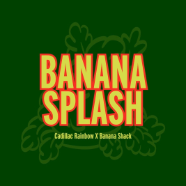 banana-splash.jpg banana-splash.jpg