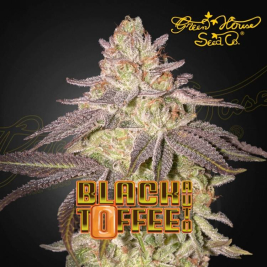 Black Toffee Auto