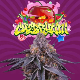 Cherrytini S1 de Perfect Tree Cherrytini S1 de Perfect Tree