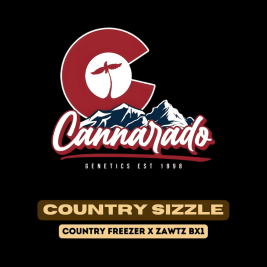 semillas-country-sizzle-de-cannarado-genetics