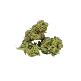 flores-cbd-mars-hemp_1-removebg-preview_1_.png