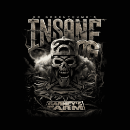 Insane OG de Barney´s Farm