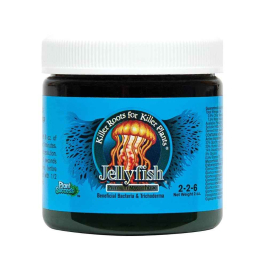 jellyfish.jpg jellyfish.jpg