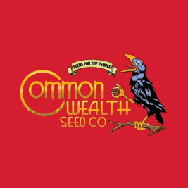 lime-whip-common-wealth-seed lime-whip-common-wealth-seed