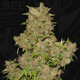 mob-de-th-seeds mob-de-th-seeds