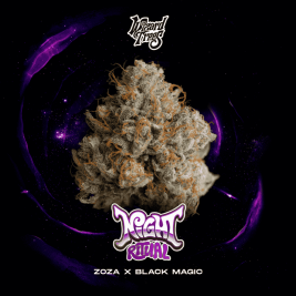 semillas-night-ritual-de-wizard-trees semillas-night-ritual-de-wizard-trees