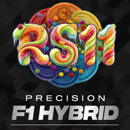 RS11 F1