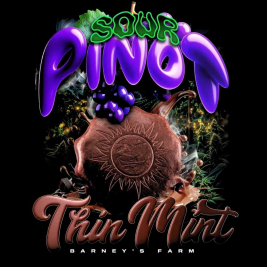 thin-mint-x-sour-pinot-auto-de-barney´s-farm thin-mint-x-sour-pinot-auto-de-barney´s-farm