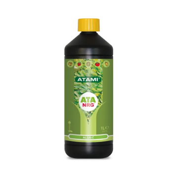 Alga C de Atami