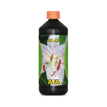 ATA XL 1L de Atami