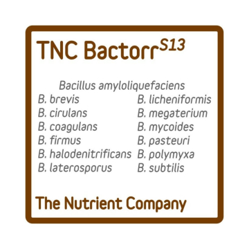 bactorrs13-tnc_1.jpg
