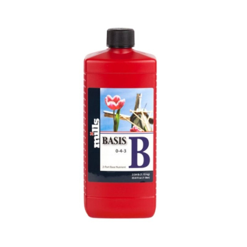Mills Basis B