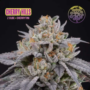 Cherry Hills de Perfect Tree