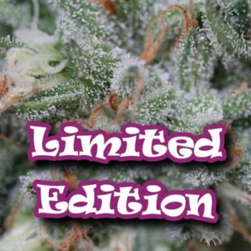 edicion-limitada-drunderground.jpg