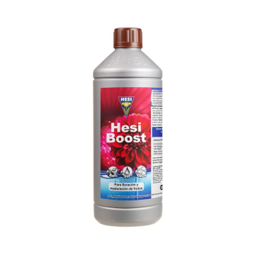 Hesi Boost