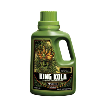 King Kola de Emerald Harvest