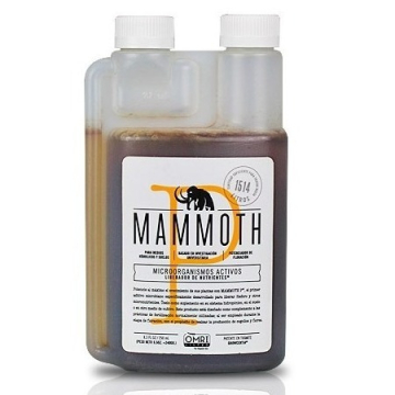 Mammoth P Microbios / Bacterias Beneficiosos de Growcentia