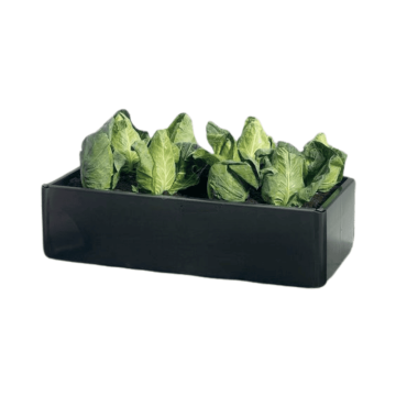 Mini Grow Bed Contenedor para Huerto 115L (97,5x51x25cm)
