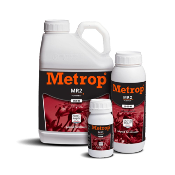 MR2 de Metrop