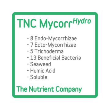 mycorrhydro-tnc-micorrizas-y-bacterias1.jpg