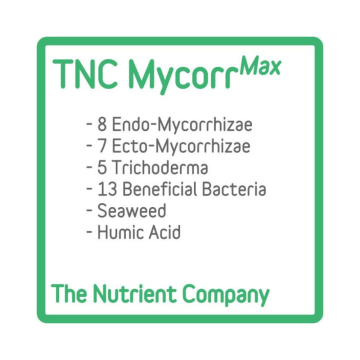 mycorrmax-tnc-micorrizas-y-bacterias23.jpg