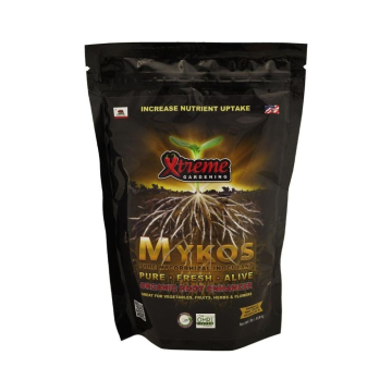 mykos.jpg