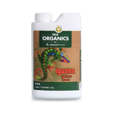 Iguana Juice Bloom