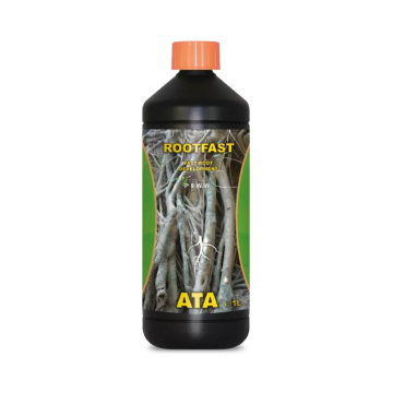 Rootfast de Atami