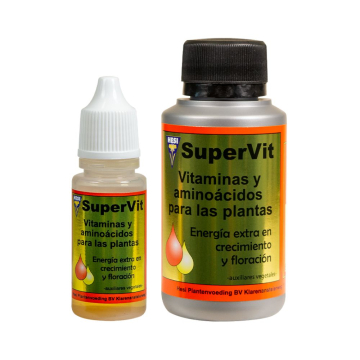 Super Vit de Hesi