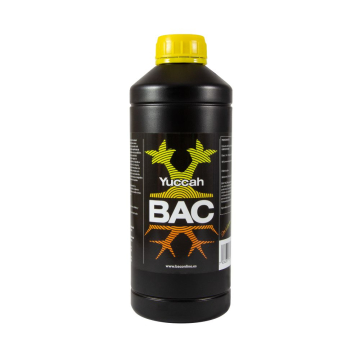 Yuccah BAC