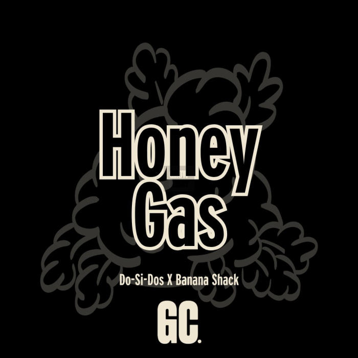 Honey Gas de Grand Cru Genetics Honey Gas de Grand Cru Genetics